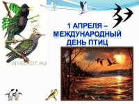 Акция «День птиц»